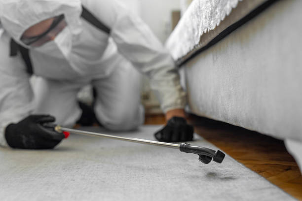 Professional Ant Control technician working in Smithville, TX
