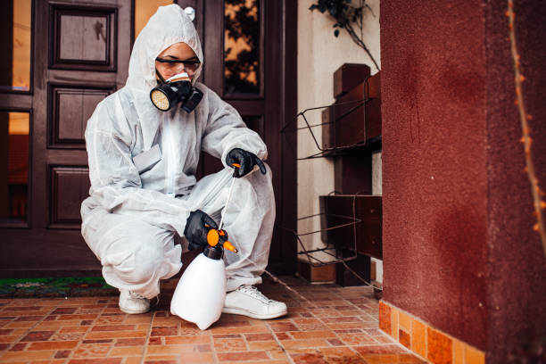 Reliable Ant Control contractor in Smithville, TX by Show Me Pest Control